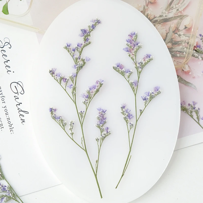 24 Stück/9–12 cm, Naturliebhaber, Gras, getrocknete Blumen, DIY-Grußkarte, Fotorahmen, Kleber, Handyhülle, handgefertigtes Lesezeichen, Maniküre-Material – Detail 2
