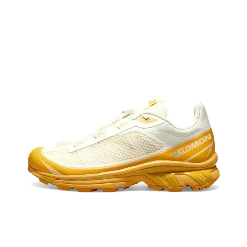 

SALOMON XT 6 Ft 'Vanilla Buckskin' 471514