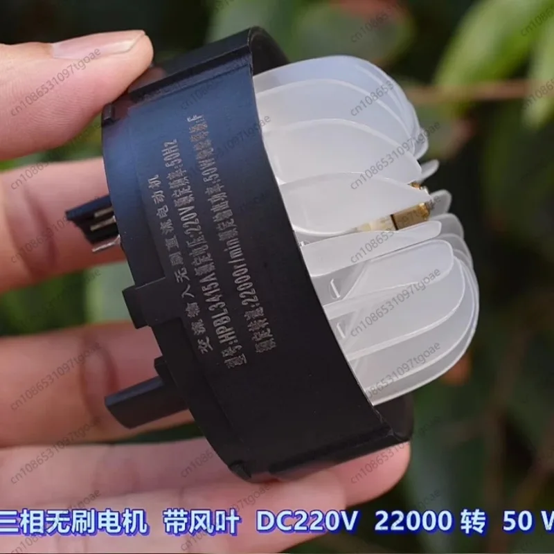 50W DC 220V High Voltage Brushless Motor Ball Bearing with Driver