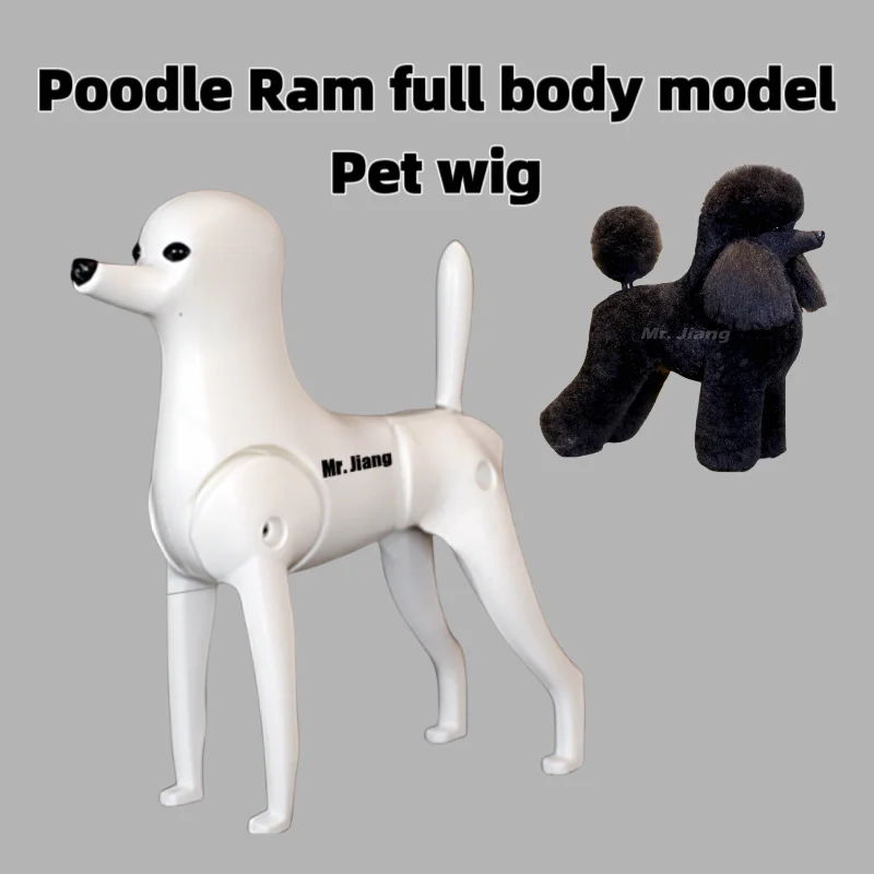 Mr.Jiang Grooming Model Dog Poodle Model Dog with Lamb Wig or