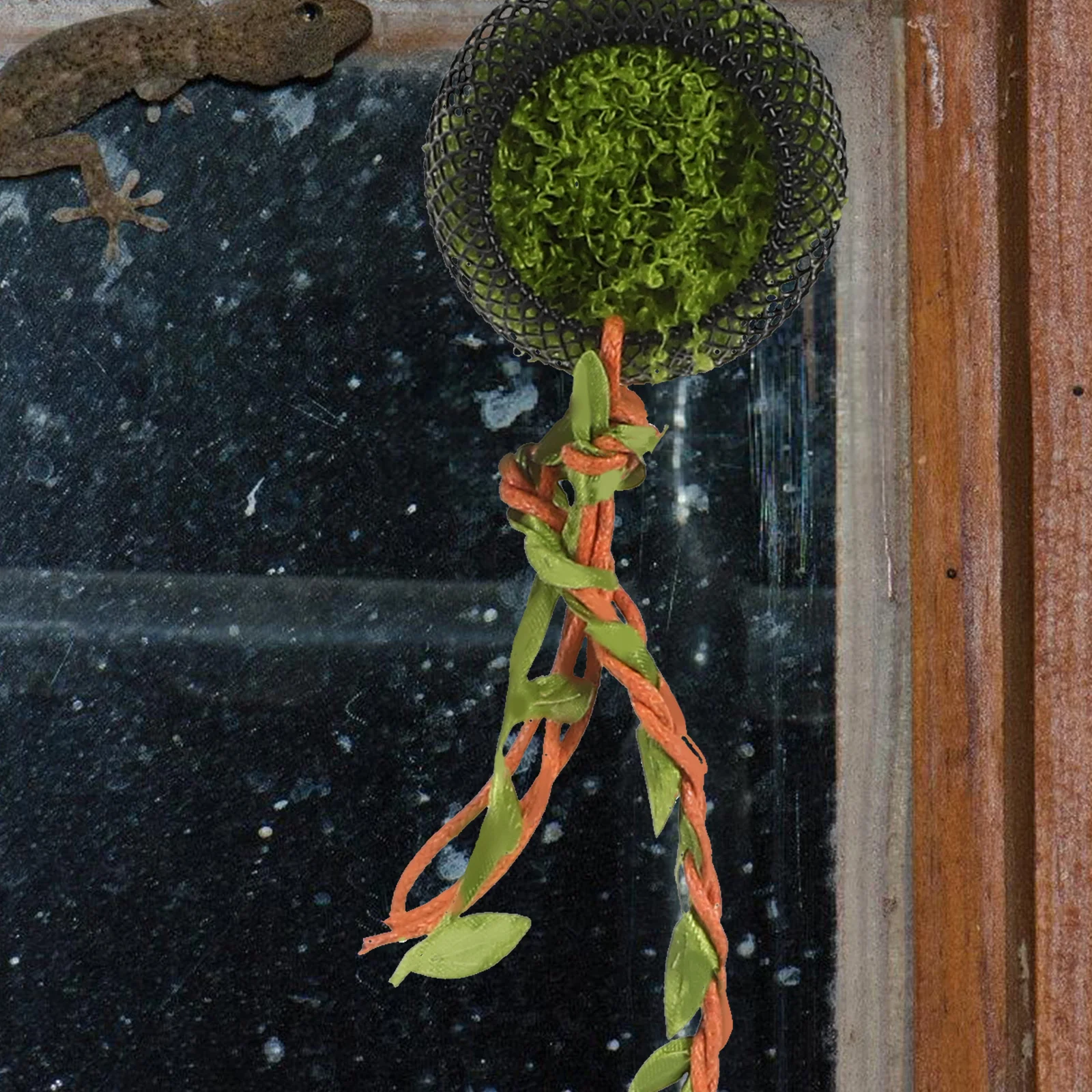 

Jumping Spider Shelter Hide Habitat Mini Enclosure With Artificial Vine Climbing Decor Pet Spider Retreat Box Accessories