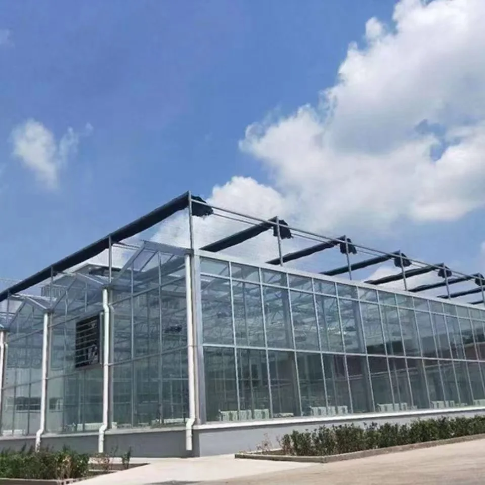 2025New ARRIVAL Strong WIND Resistance Green House กระจกนิรภัย Multi-Span เรือนกระจก Roll Up สําหรับ Organic Farming