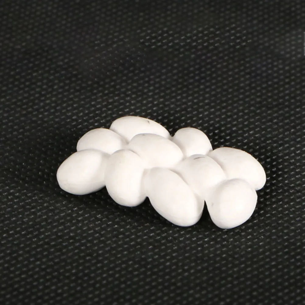 

1Set Ant Growth Stage Display Decorative Ornament Creative Educational Life Cycle of Ant for Kids Family Crafts