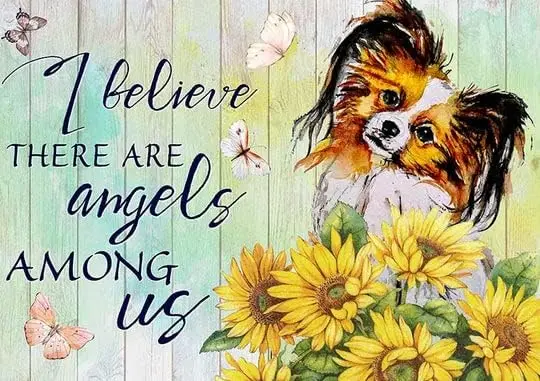 Metal Sign I Believe Angels Among Papillon Retro Sign Vintage Aluminum Tin Sign For Home Office Cafe Bar Farm Dog Tin Sign 8x12