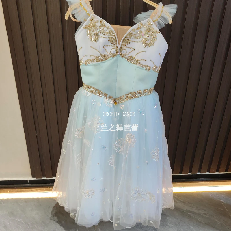 BT250622 Professionelle Hohe Qualität Benutzerdefinierte Größe Kinder Mädchen Frauen Erwachsene Ballett Tanz Performance Tragen Blau Lange Chiffon Kleid