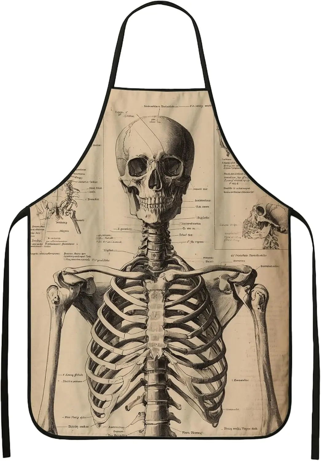 Skeleton Apron for Cooking, Vintage Anatomical Skull Design Kitchen Apron, Retro Medical Art Washable Chef Apron for Hallow