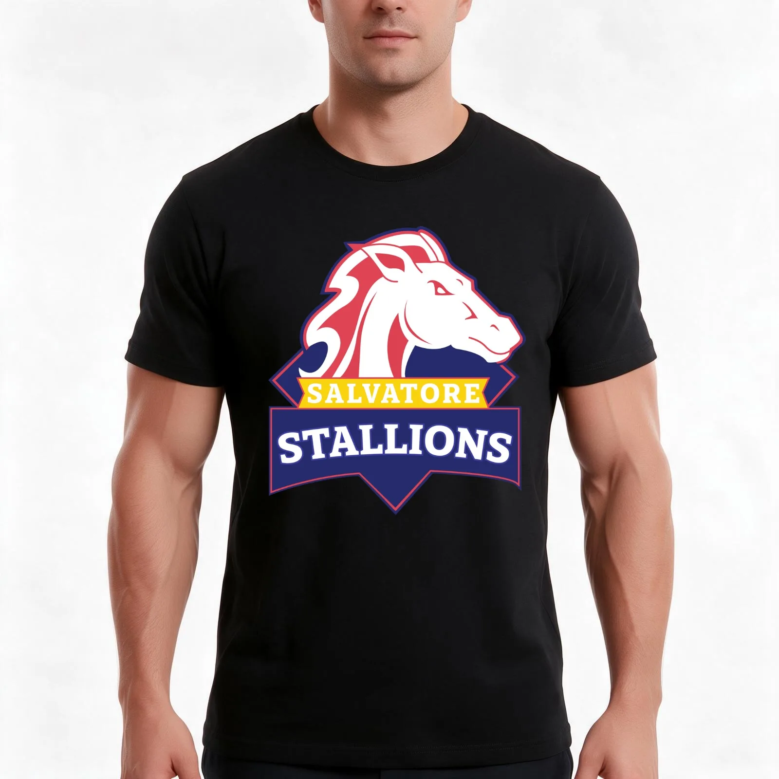 Salvatore Stallions - Legacies / TVD / The Originals T-Shirt, Summer Casual Cotton Tee, Oversized Streetwear Tops, 100% Cotton