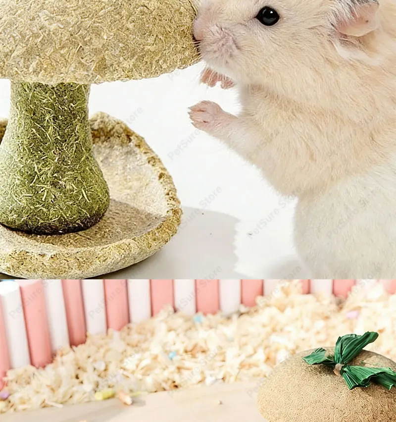 Hamster Chew Toys for Teeth & Natural Timothy Grass Bunny Treats Sb3ce50ca8d1f4cea8f96933587d642d1J