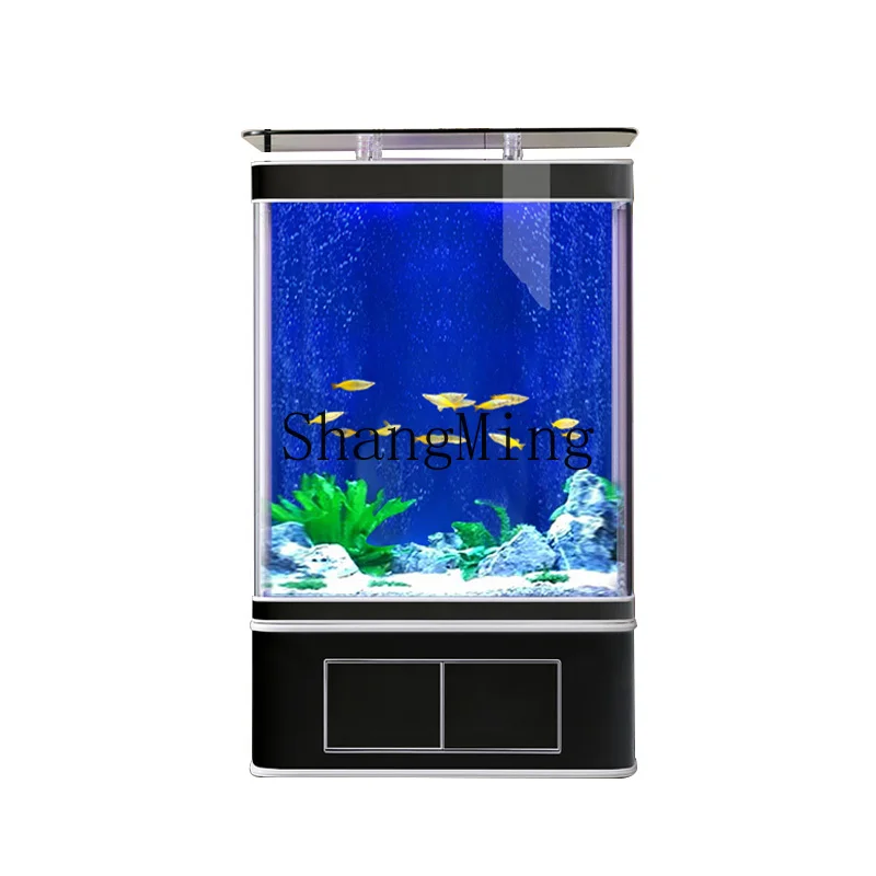 

DHY goldfish tank living room floor-to-ceiling light luxury household ecological bottom filter glass silent