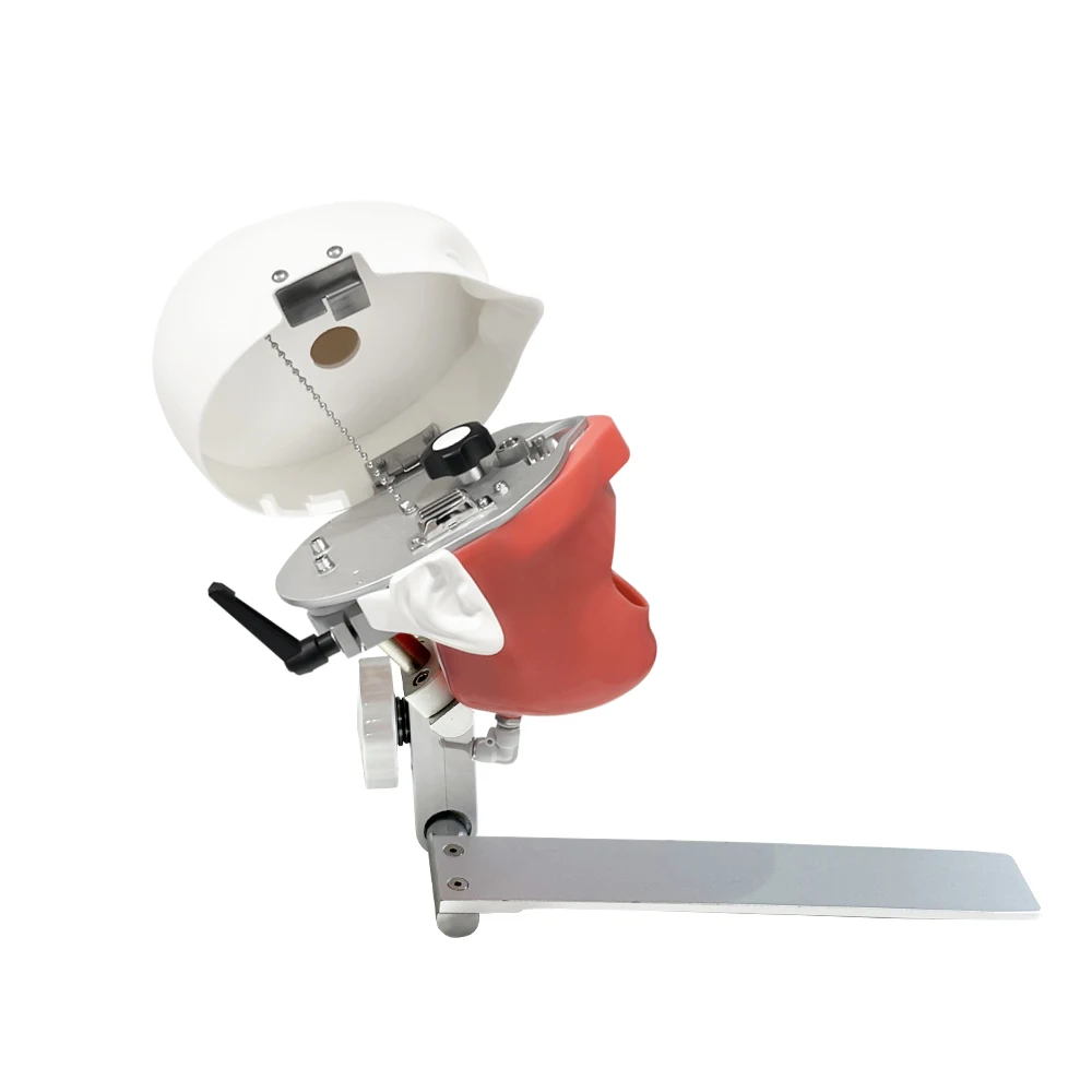 Dental Training Simulator with Adjustable Dental Phantom Head Model Dental Teaching Practice Exercise Model