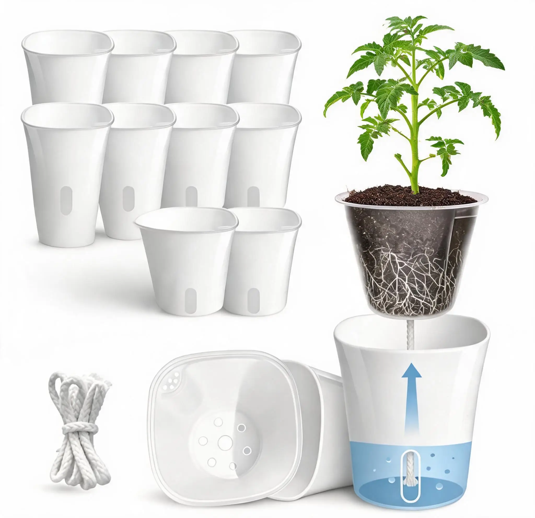 12-Pack Self-Watering Seedling Pots, 4 Inch Clear Inner Planters with Water Level Window & Wick System, Self Watering Nursery Pots for Indoor Seed Starting, Plant Cuttings & Seed Germination