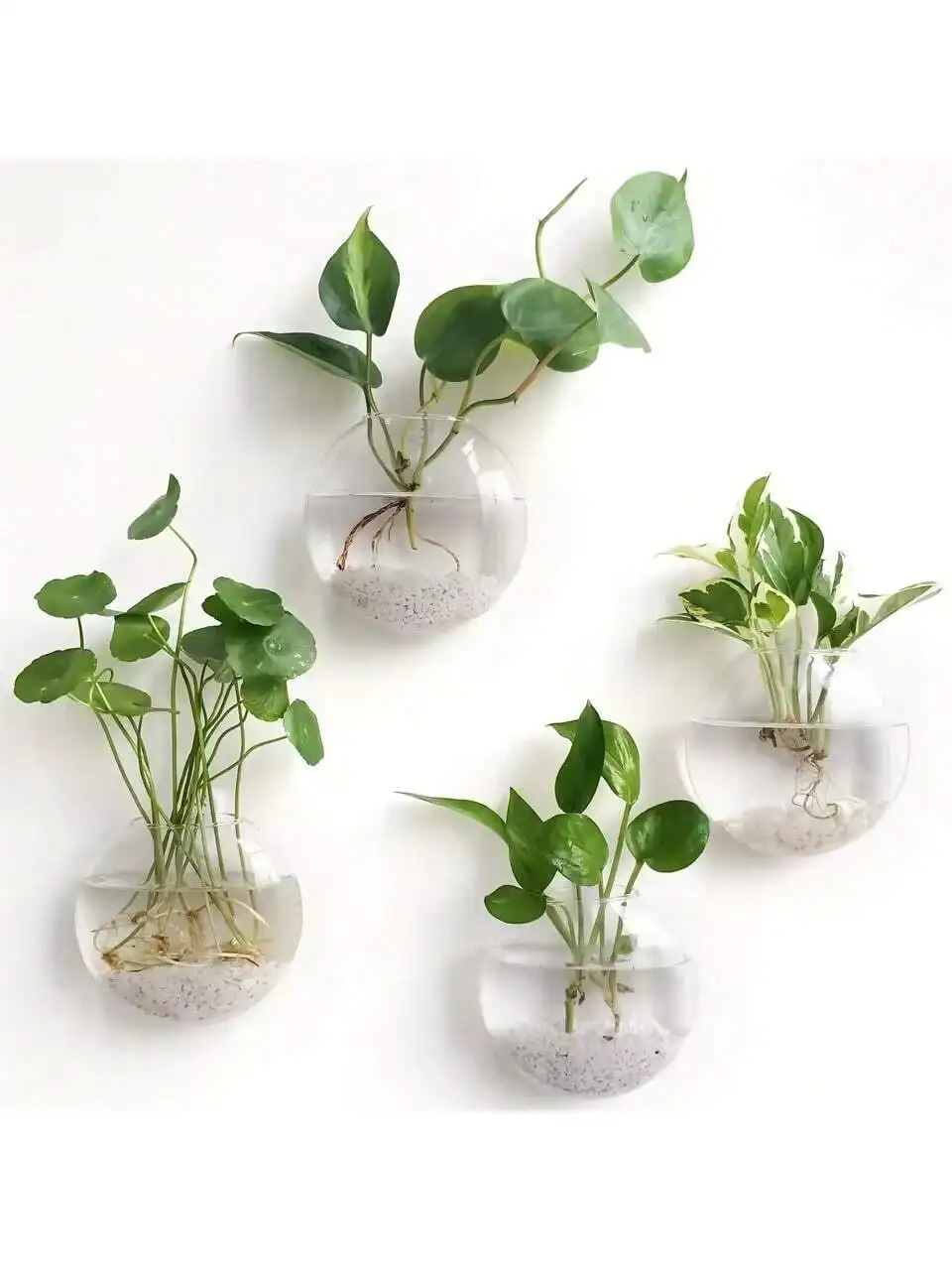 Parede Pendurado Aq… - image