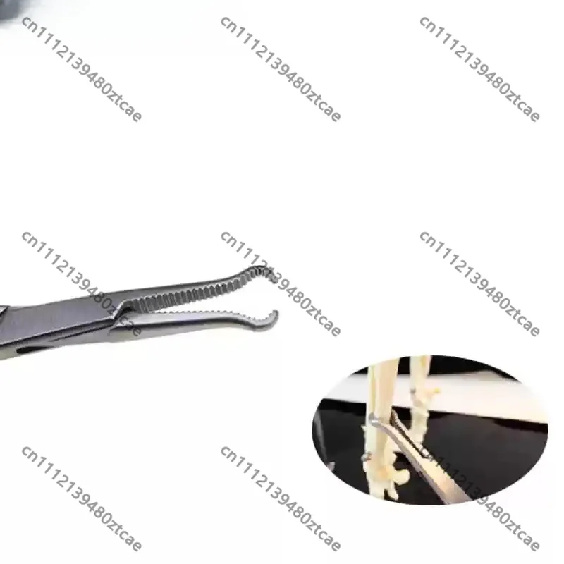 Veterinary Mini Bone Holding Forceps, Reduction Forceps, General Pet Animal Orthopedic Surgical Instrument for Vet Clinic