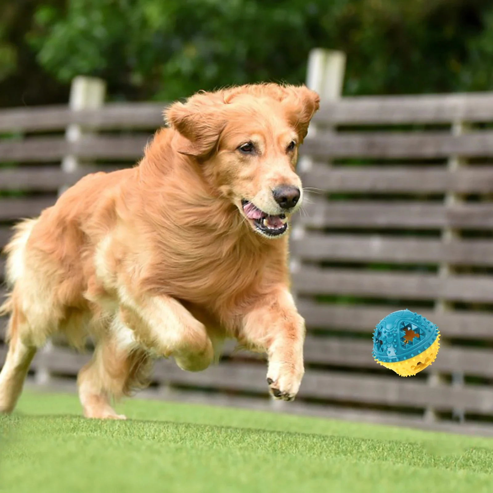 Thumbnail 2 - #52 Dog Training Price Drop Alerts