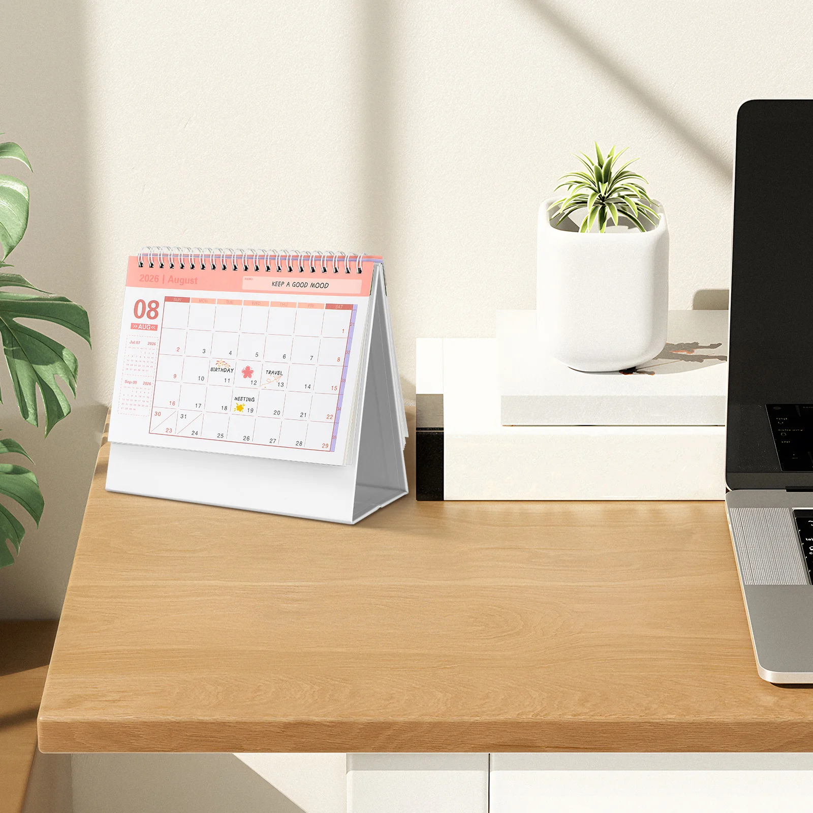 

Настольный календарь на 2026 года. Компактный небольшой стоячий флип-дизайн для ежедневного планирования. Органайзер для расписания. Светло-зеленый офисный домашний вариант.