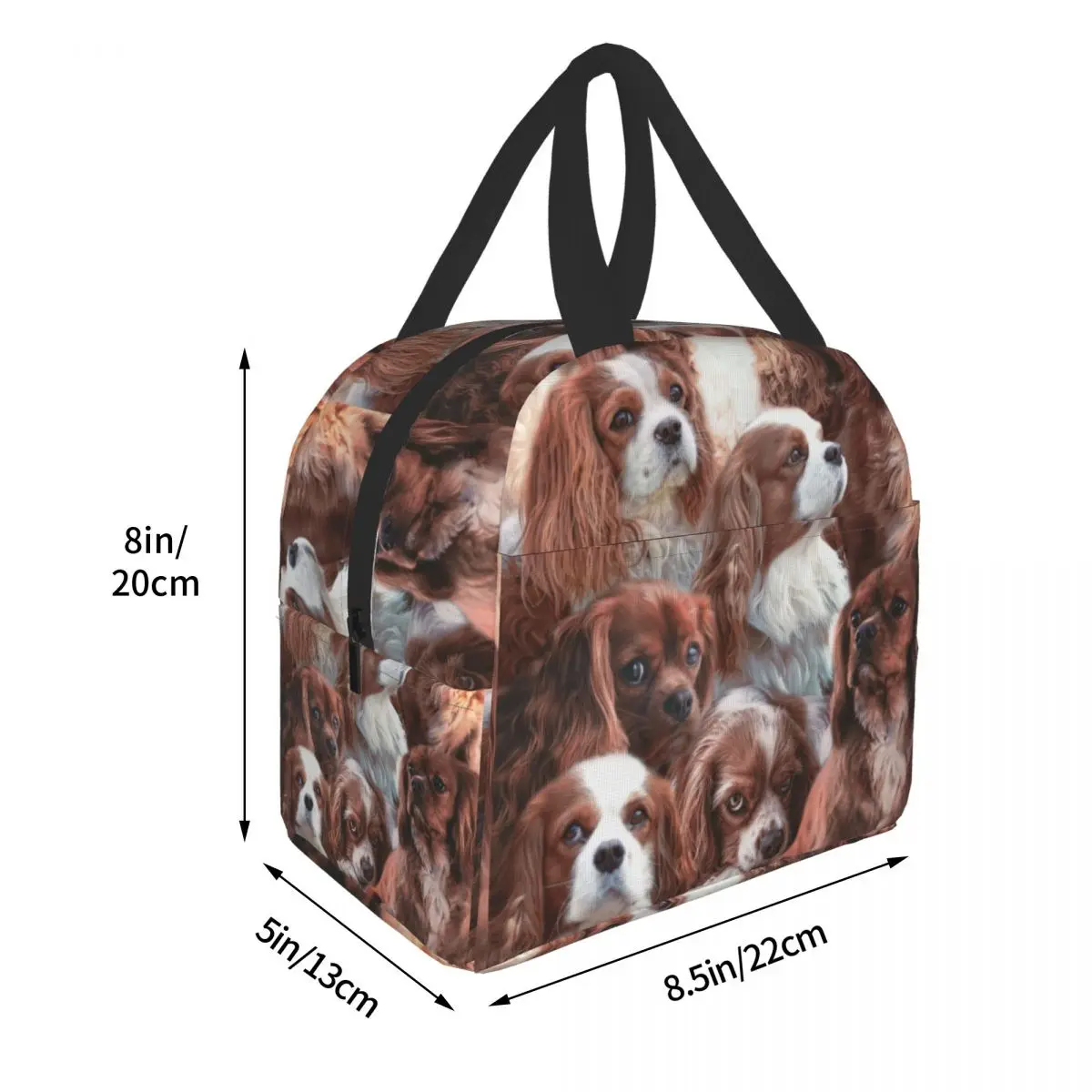 Cute Dog Cavalier King Charles Spaniel Isolados Térmicos Lunch Bag Mulheres Resuable Lunch Container para o Trabalho Escola Viagem Piquenique