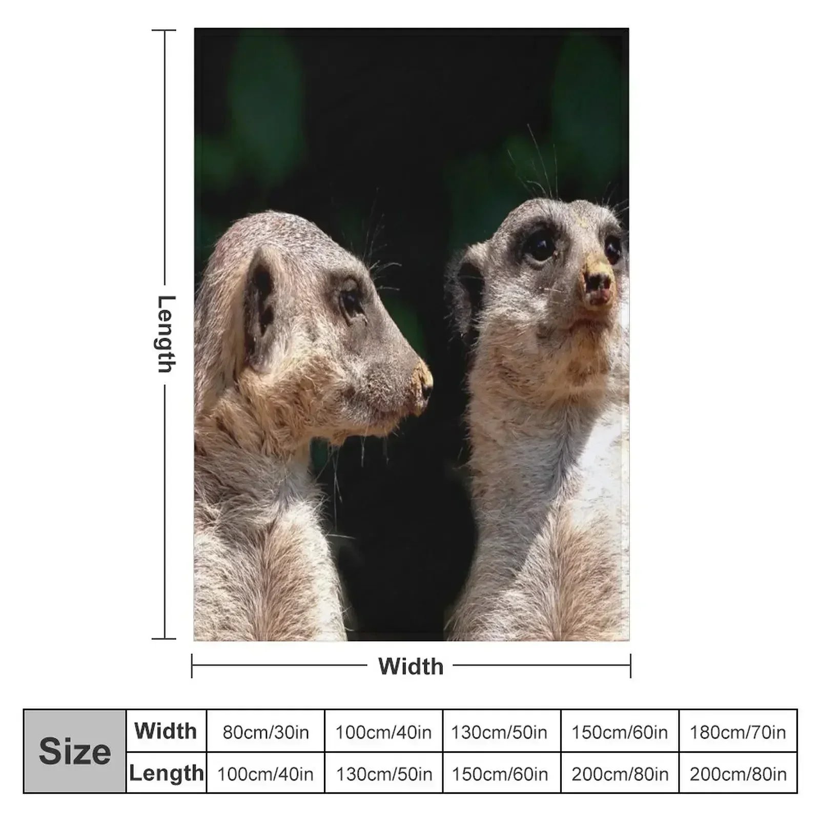 Meerkats Throw Blanket Sofa bed plaid Shaggy Thin Blankets
