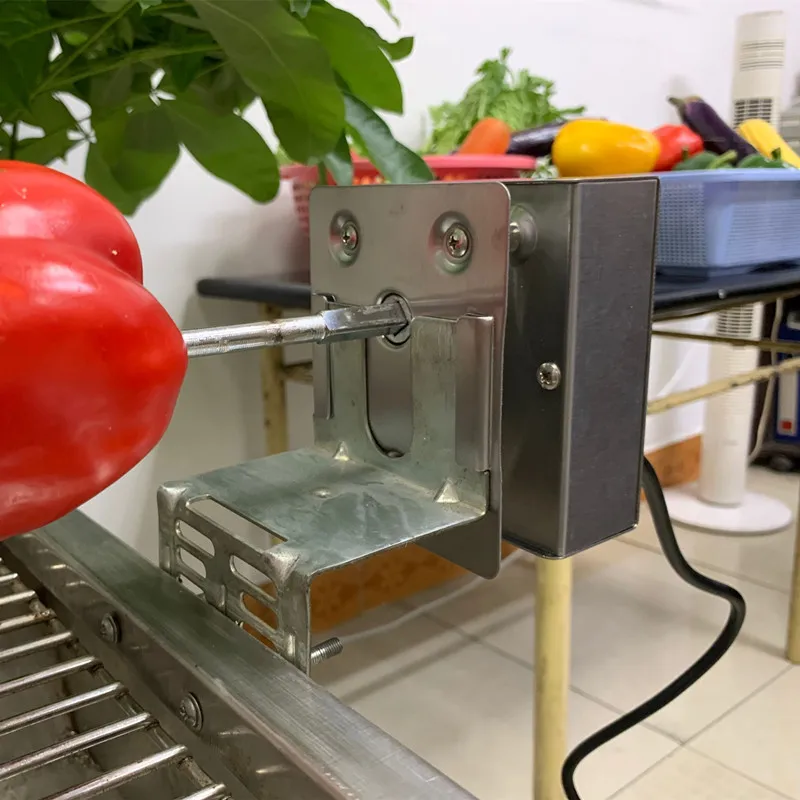 BBQ Grill Motor Churrasco Motor Rotativo, Motor Rotisserie, Grill Elétrico Spit, Metal Assado, Cordeiros, Leitões, Frango, 24kgs