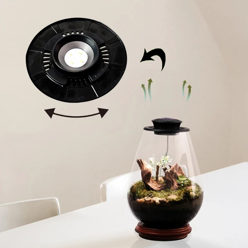 Mini Glass Terrarium with Grow Light for Succulent Moss Landscape Gardening