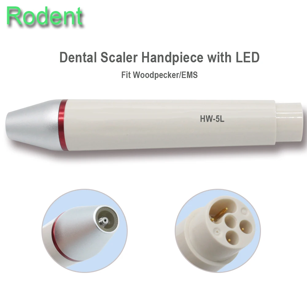 Dental Ultrasonic Piezo Scaler Handpiece  Detachable Fit Woodpecker EMS HW-3H HW-5L LED And Scaler Tips