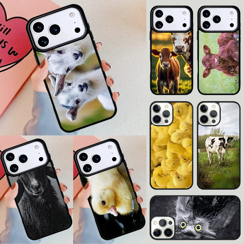 Various Farm Animal…