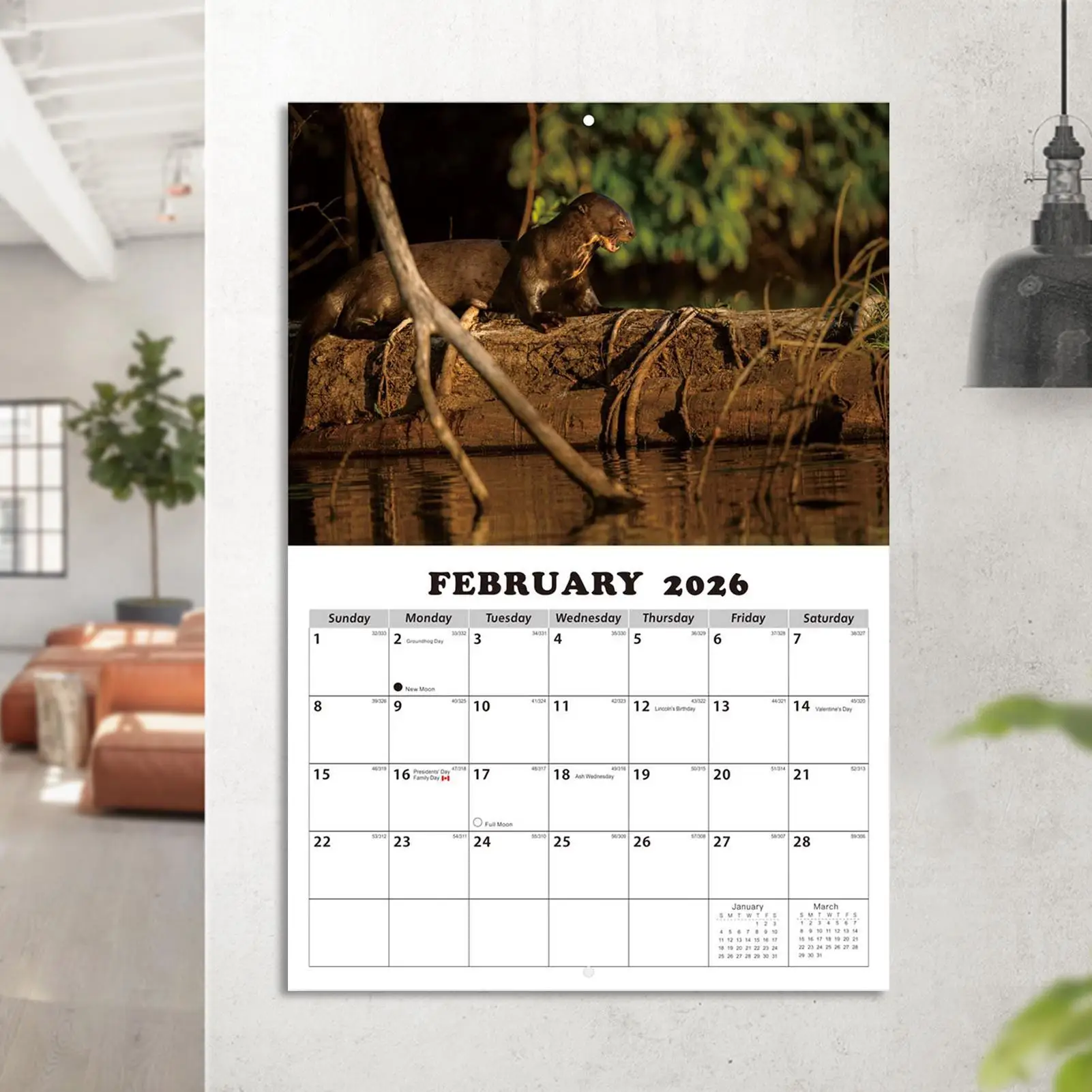 

Animal Wall Calendar English Animal Illustrations Wall Mount Month Calendar For Students Kids Teens Adults Teachers Dining Room
