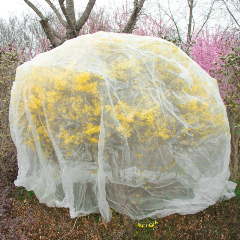 

Fruit Tree Protective Net Vegetable Culture Bird Prevention Insect Prevention Net White PE Breathable Wear Resistant Mesh Cover