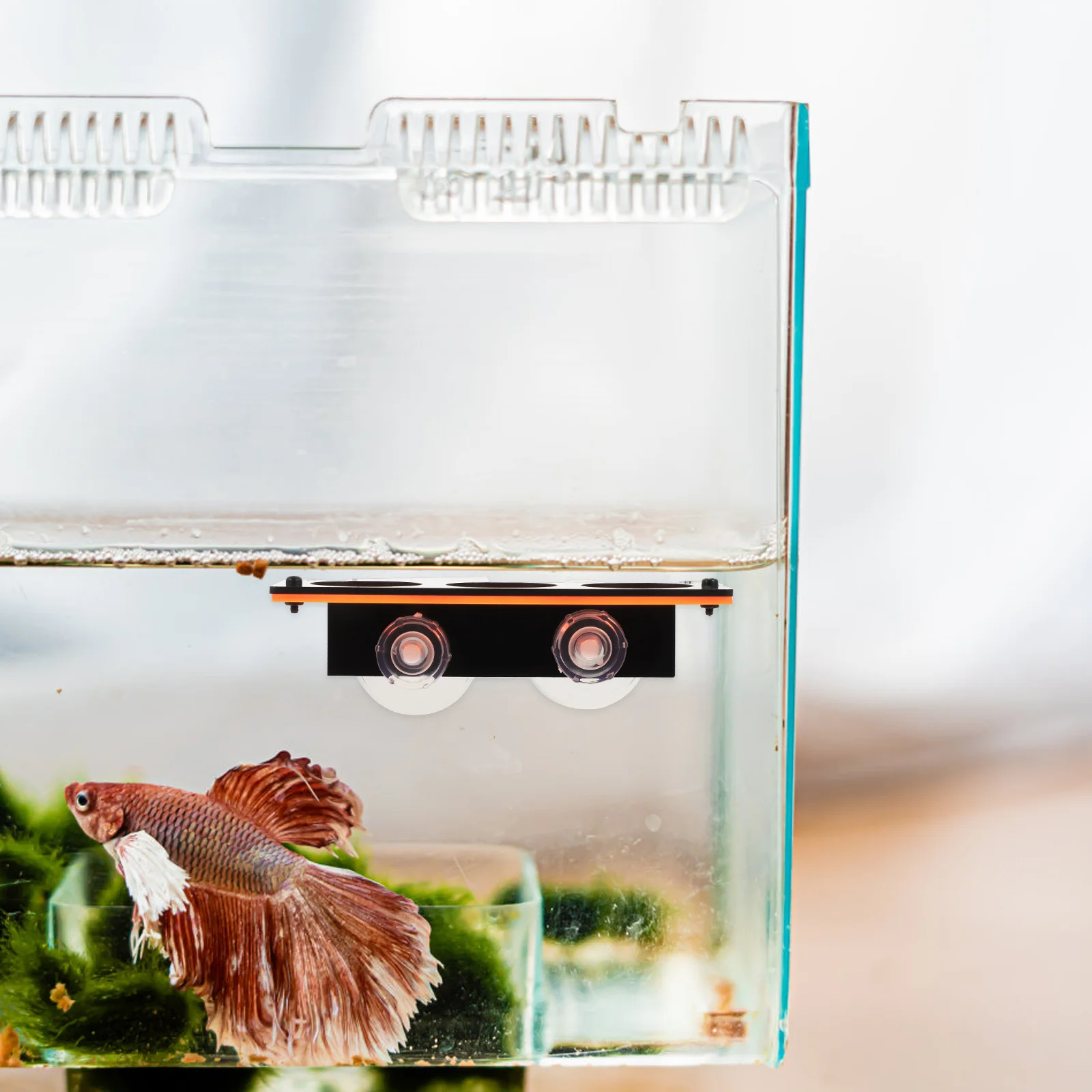 

Coral Rack Fluorescent Acrylic Holder Durable Corals Support Aquarium Display Cultivation Coral Accessories