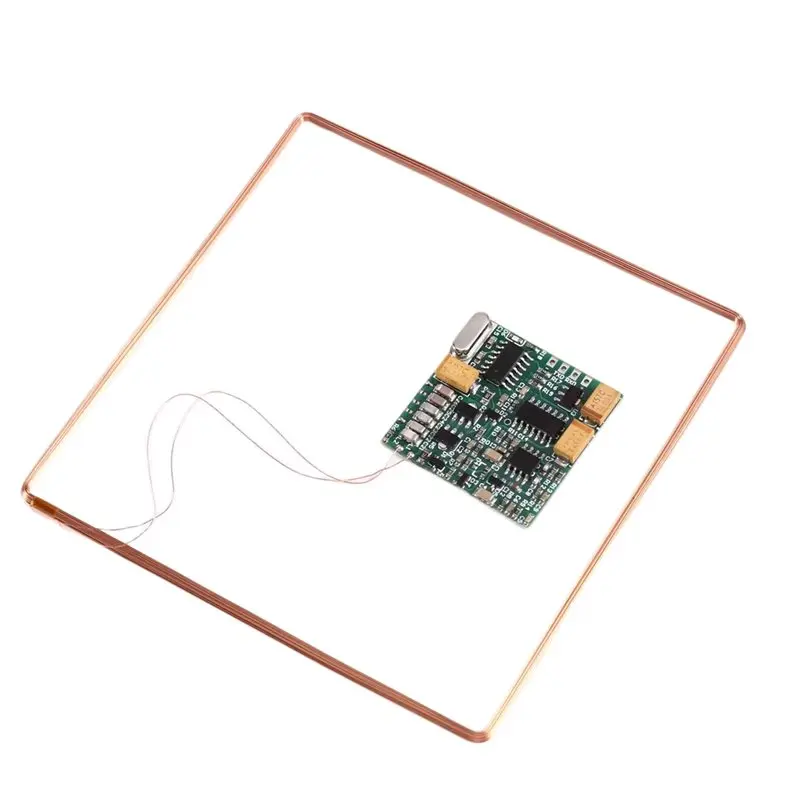 【WHILE SUPPLIES LAST】For AGV RFID FDX-B FDXB ISO11784 Animal Tag Reader Module 1Set 134.2K TTL Output Long Distance