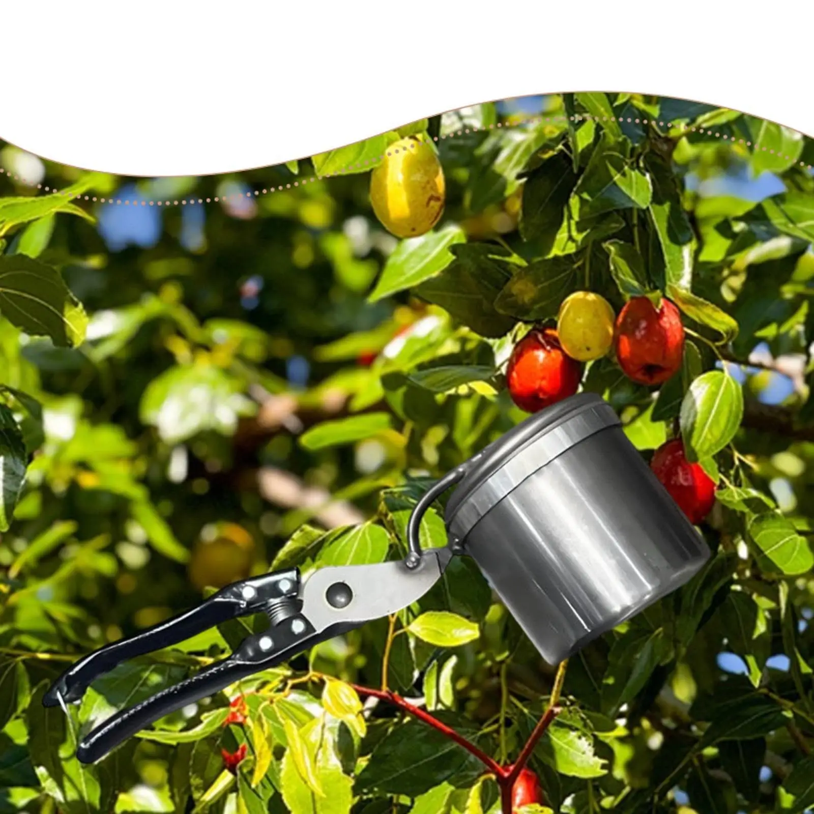 Raccoglitrice di frutta versatile pratica manuale in acciaio inossidabile per giardino agricolo