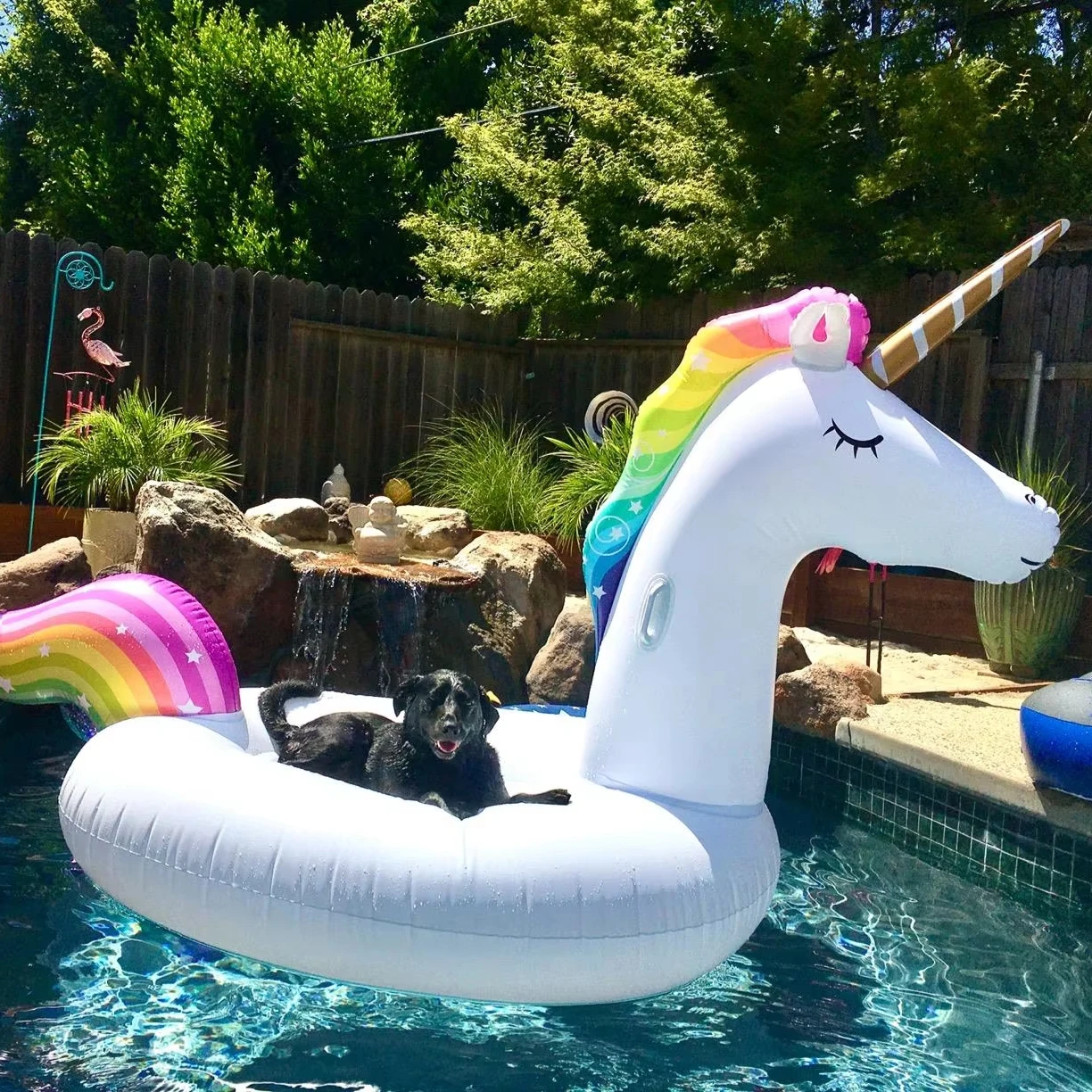 

PVC Inflatable Ride-On Pool Float Quick-Shipping Swimming Toy