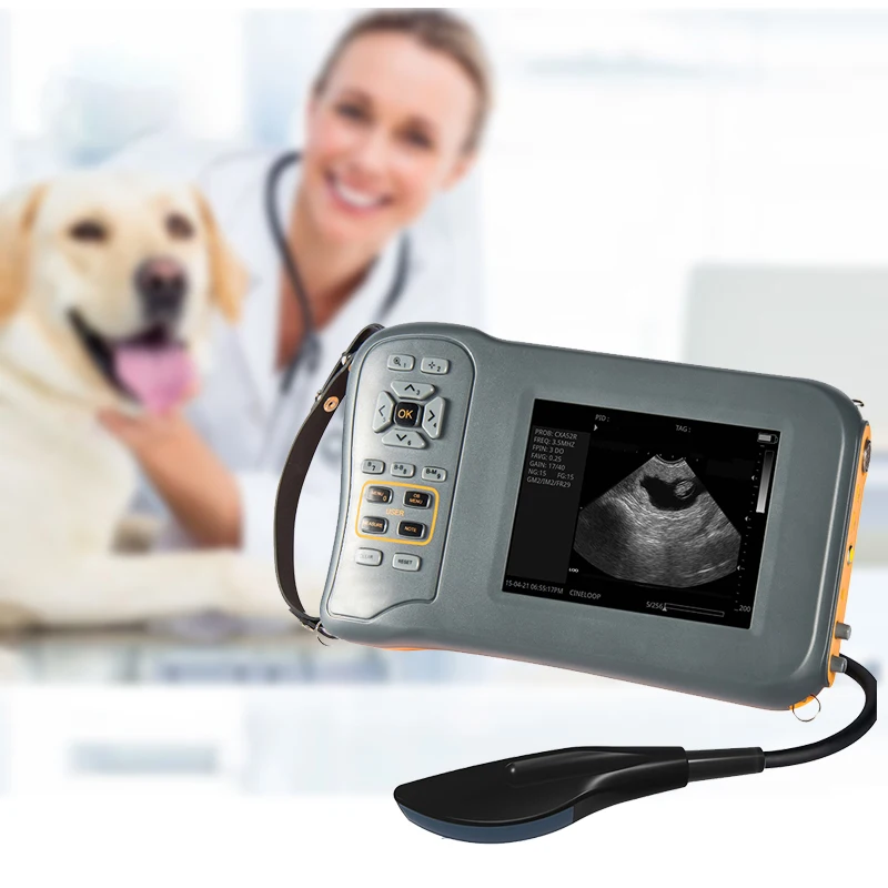 

Animal Scanner Sheep Ultrasound Machine Veterinary Ultrasound Scanner Vet Handheld Device