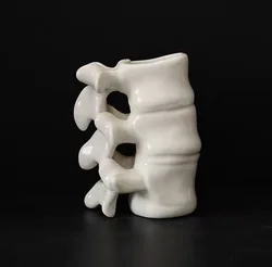 Creative Spine Shape Ceramics Mugs Coffee Mug Milk Tea Office Cups Drinkware the Best birthday Gift