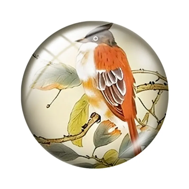 Flower and bird patterns 10pcs 12mm14mm/16mm/18mm/20mm/25mm Round Photo Glass Cabochon Demo Flat Back Making Findings Jewelry
