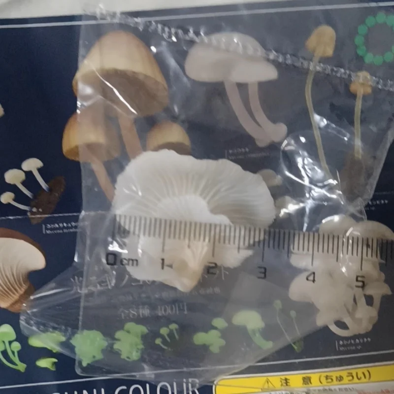 Japanse Ikimon 'Glow Mushrooms' Serie Gachapon Magnetische Bioluminescerende Schimmels Decor Re-Release Toy Collectible Action Figure