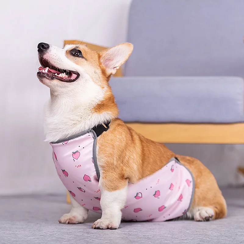 Cute Dog Clothes for Corgi Dogs Belly Protection Clothing Waterproof Warm Pet Dog Bib Summer Dog Belly Pocket Supplies