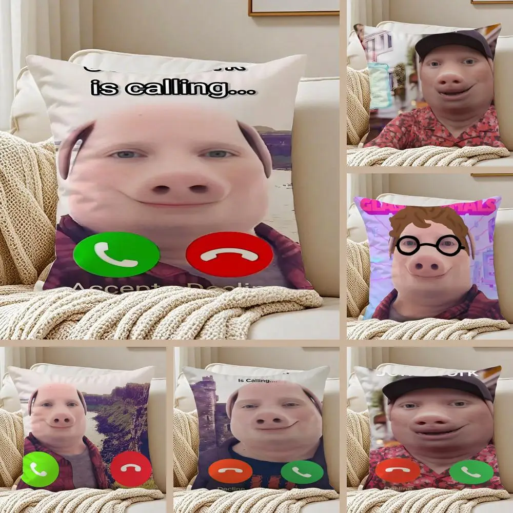 John Pork Is Calling Funny Cushion Cover Silky Short Plush Double-Sided Printed Pillow Case for Sofa All Seasons Home Decor Gift