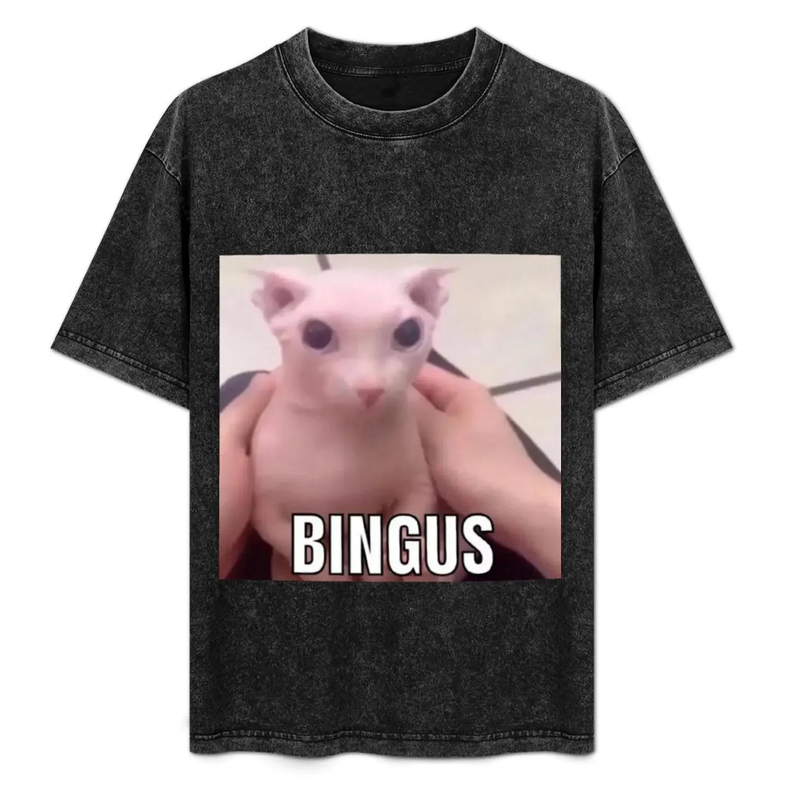 

Bingus T-Shirt vintage t shirts summer clothes Blouse anime stuff designer t shirt men