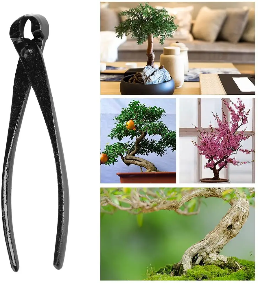 15Pcs Bonsai Beschneiden Werkzeug Set Carbon Stahl Umfangreiche Cutter Schere Kit mit Nylon Fall Für Home Garten Hand DIY beschneiden Werkzeug – Detail 5