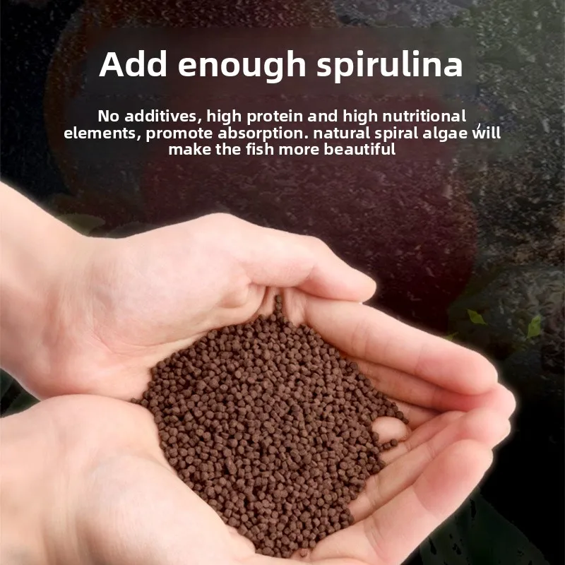 طعام ناي تشونغ رانشو ذهبية - كريات غرق لرأس الأسد، سمكة ذهبية فاخرة وكوي (تركيبة مغذية لجميع مراحل الحياة)