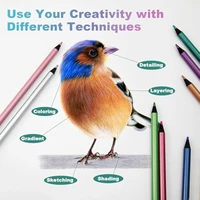 12 Colors Metallic Colored Pencil Drawing and Sketching Set Colored Pencil DIY Art Supplies Coloring Home Painting 5