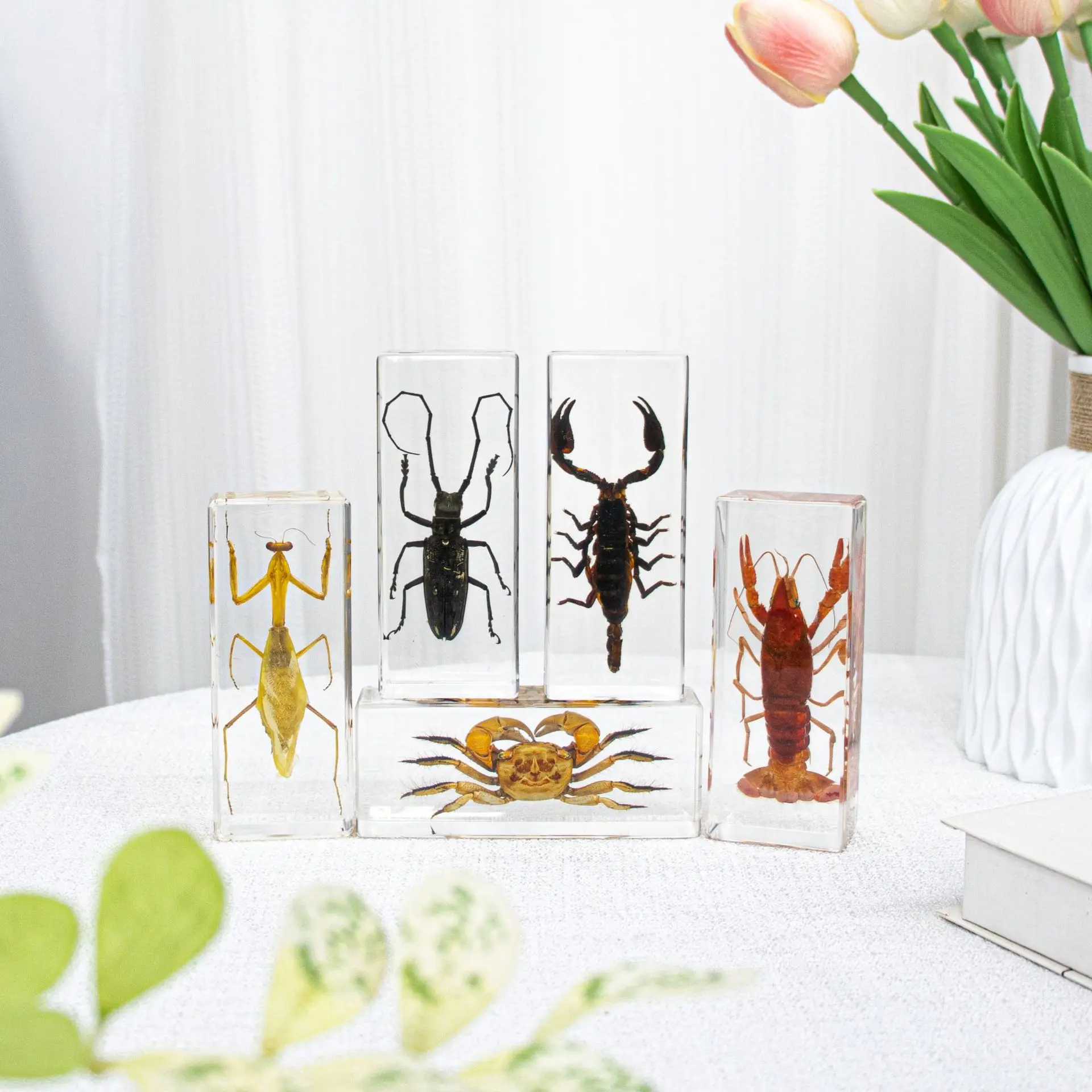 Ocean Animal & Insect Resin Specimens: Unique Decorative Artwork Ornaments
