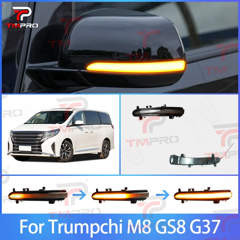 

Динамический светодиодный указатель поворота для Trumpchi M8 GS8 GS7, индикатор зеркала заднего вида с боковым крылом, последовательная мигалка