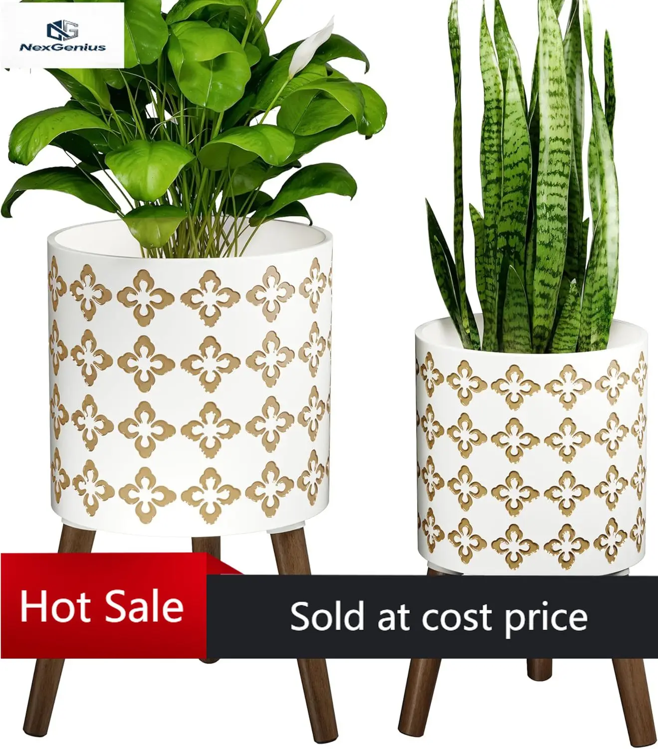 Indoor Planter With…