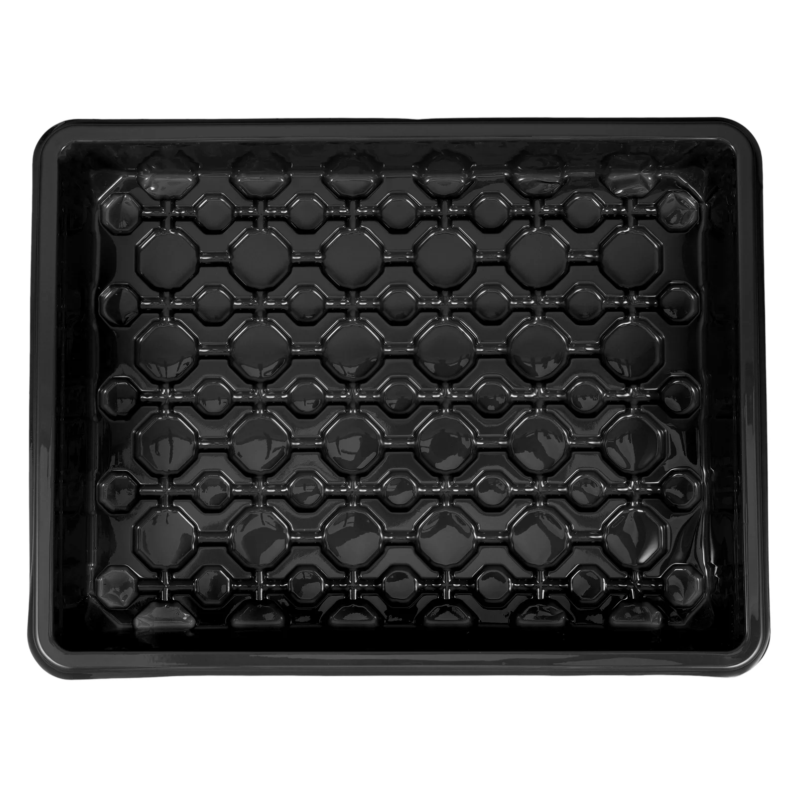 

Seedling Tray Garden Flower Seedlings Container Daily Use Plant Grow Sprouting Trays Cover Germination The Pet Starter