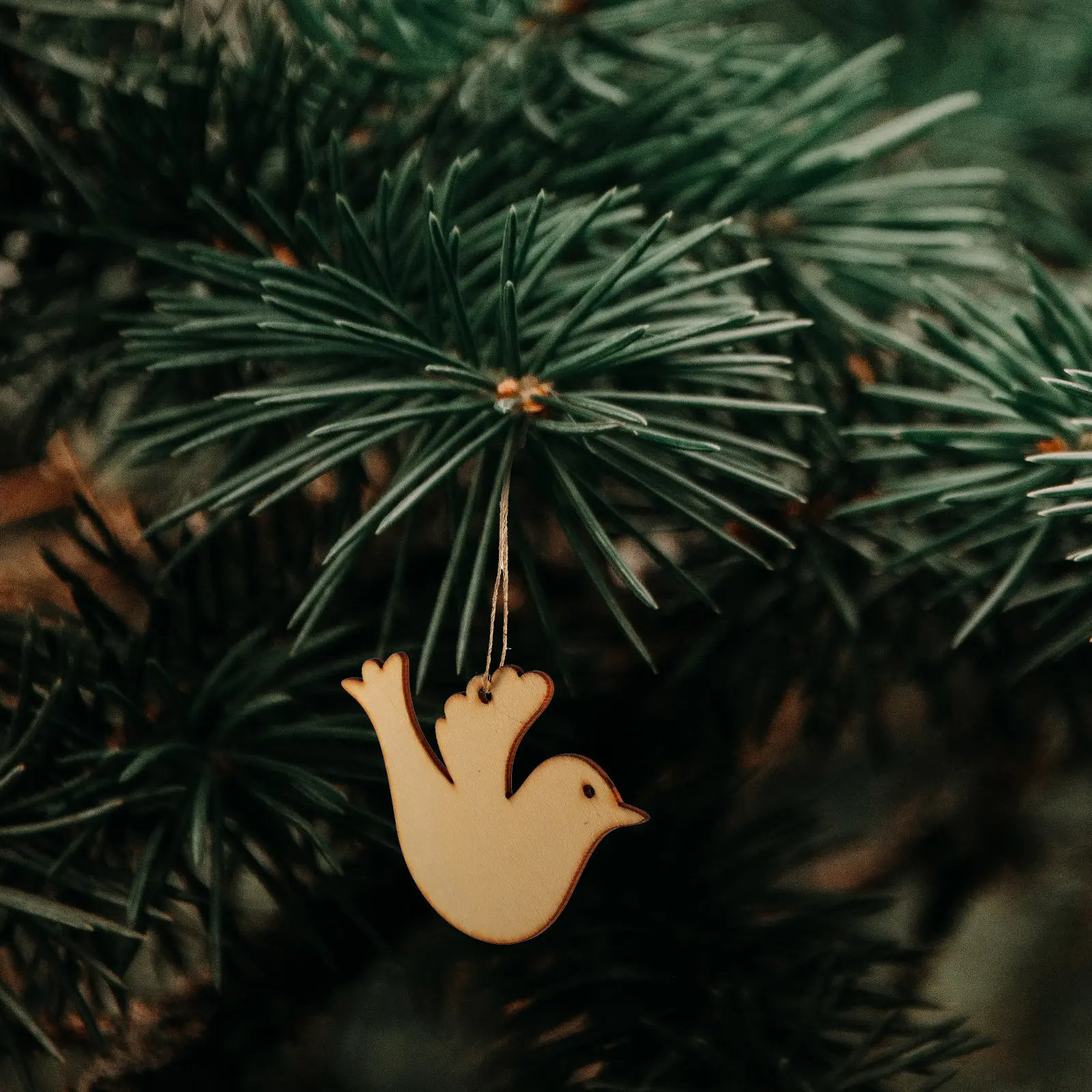 

Набор из 50 деревянных заготовок в форме птиц, необработанные натуральные деревянные элементы для поделок своими руками, для детского творчества, росписи, рождественских украшений, подвесных декораций