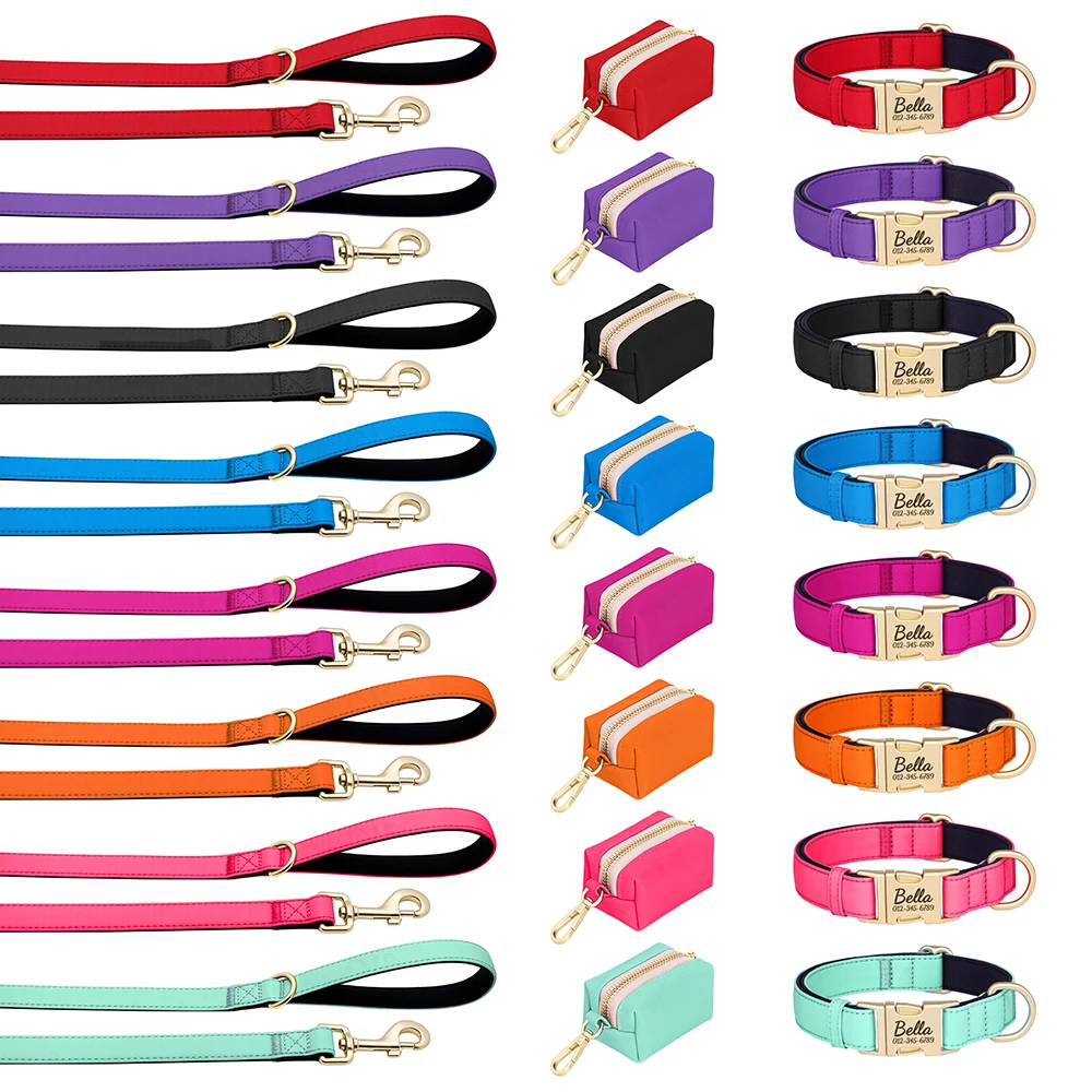 Personalized Dog Collar Leash - Pet Supplies Plus review and price