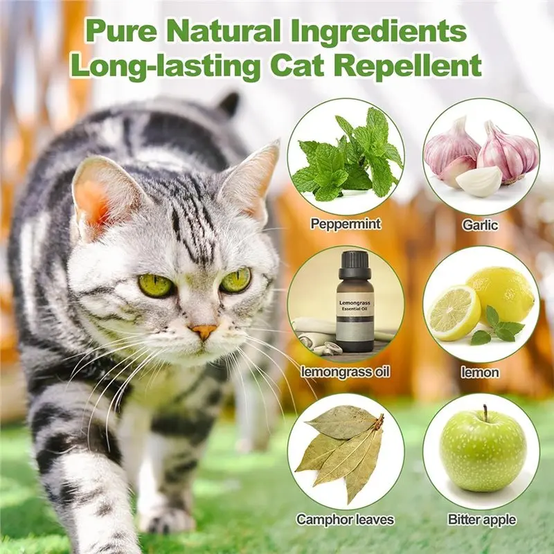 A25I-Cat Repellent Outdoor 12-Pack-Natural Plant-Based Formula To Deter Felines And Canines Dog