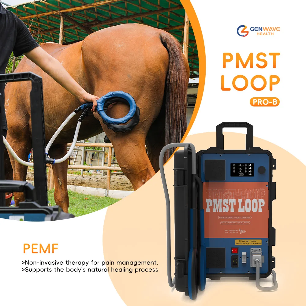 PMST Loop Magnetic Therapy For Horse Equine Treatment Muscle Relaxaction Hofmag Machine