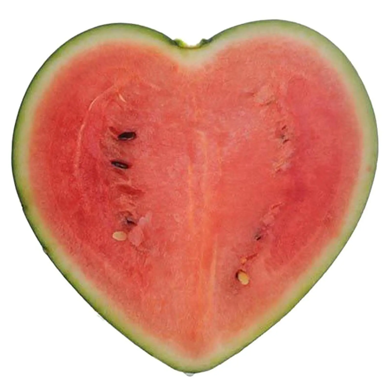 Watermelon Growing Molds Reusable PP Transparent Mold Heart Shape Professional Fruit Forming Tool for Outdoor Gardening